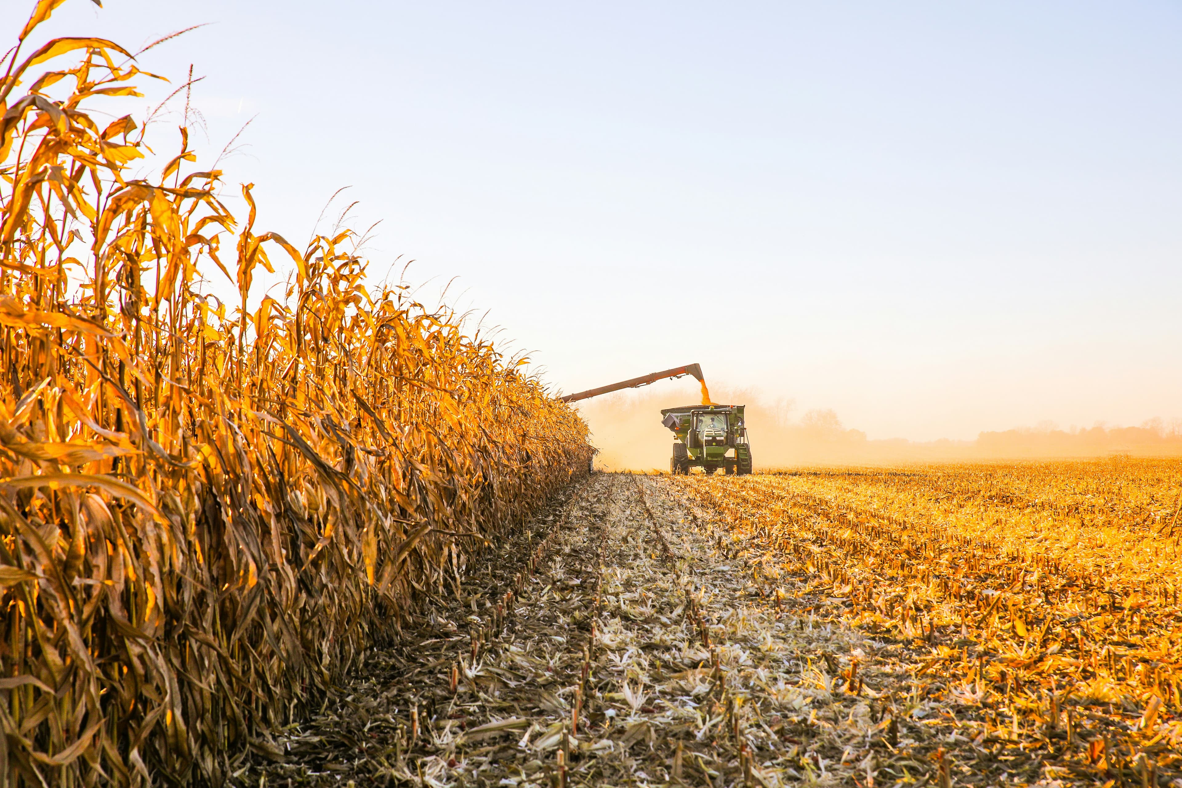 Soil Health: The Foundation of Sustainable Farming