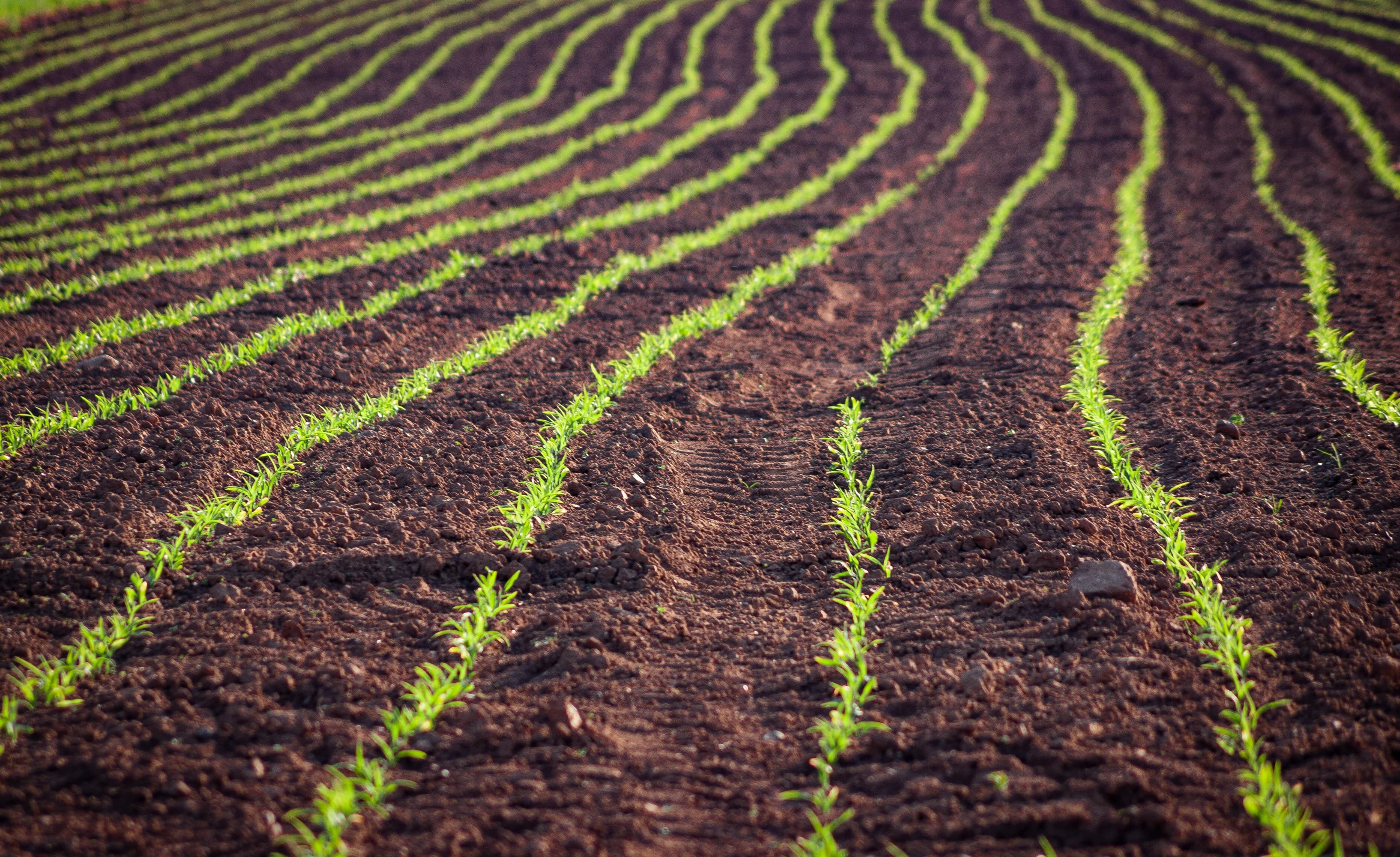 Soil management visual 1