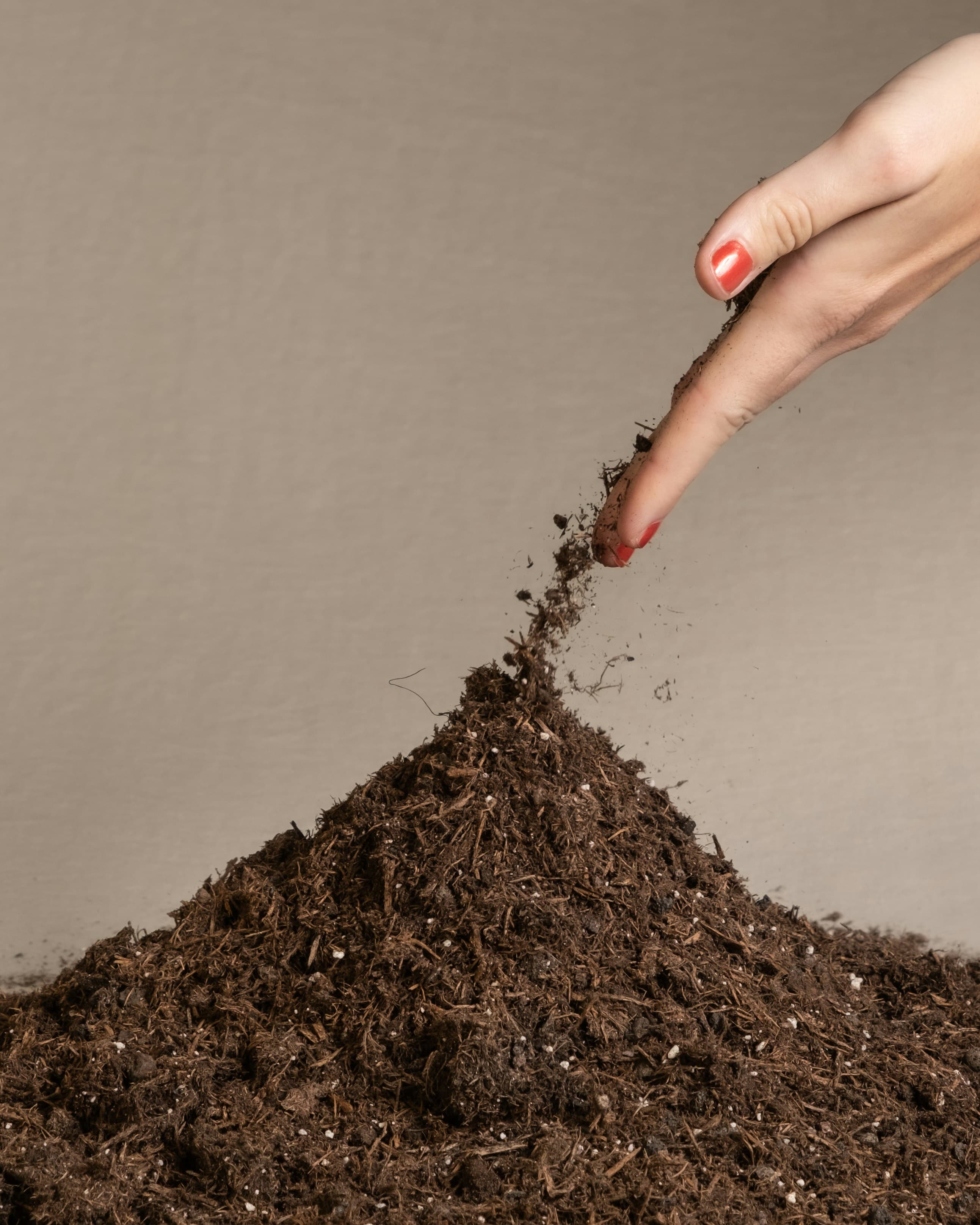 How Healthy Soil Improves Crop Productivity