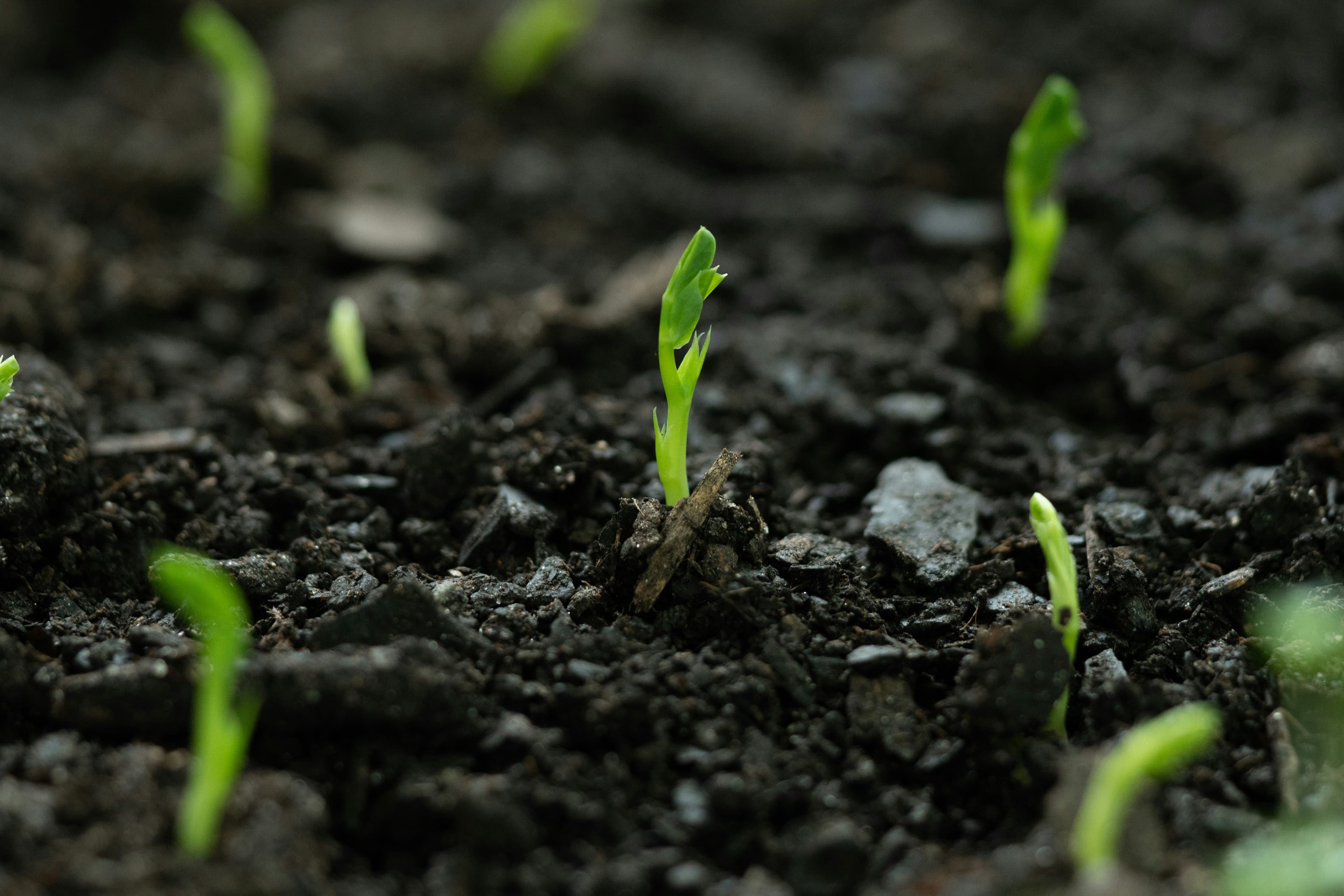 Soil productivity visual 2