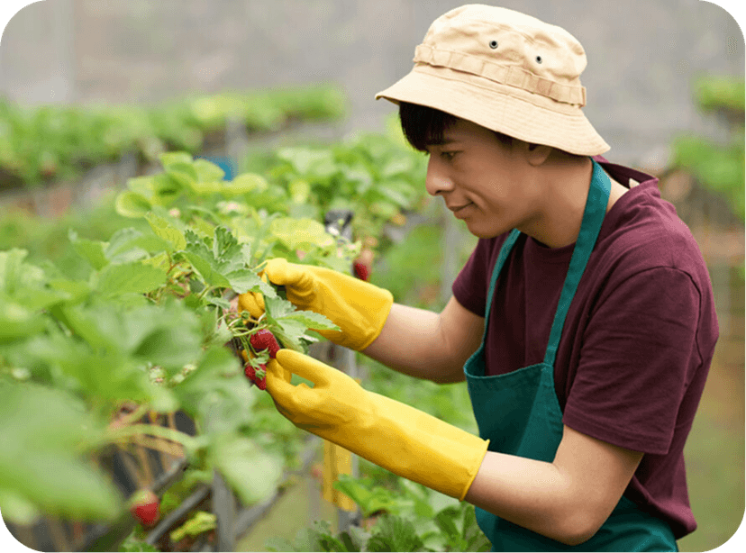 What technology is used in vertical farming?