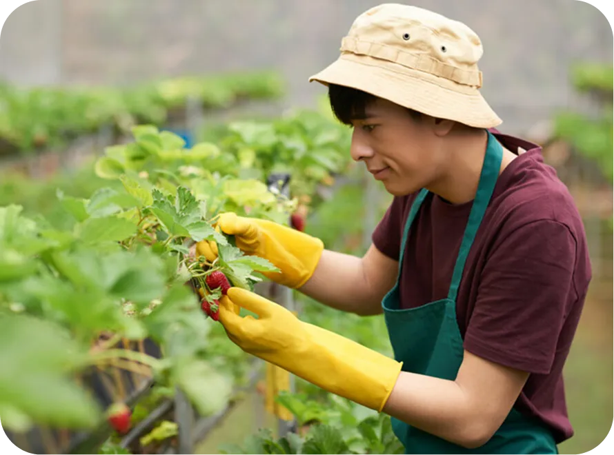 What technology is used in vertical farming?