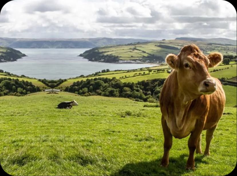 The Farmers Sentiment Darkens Hopes Fade
