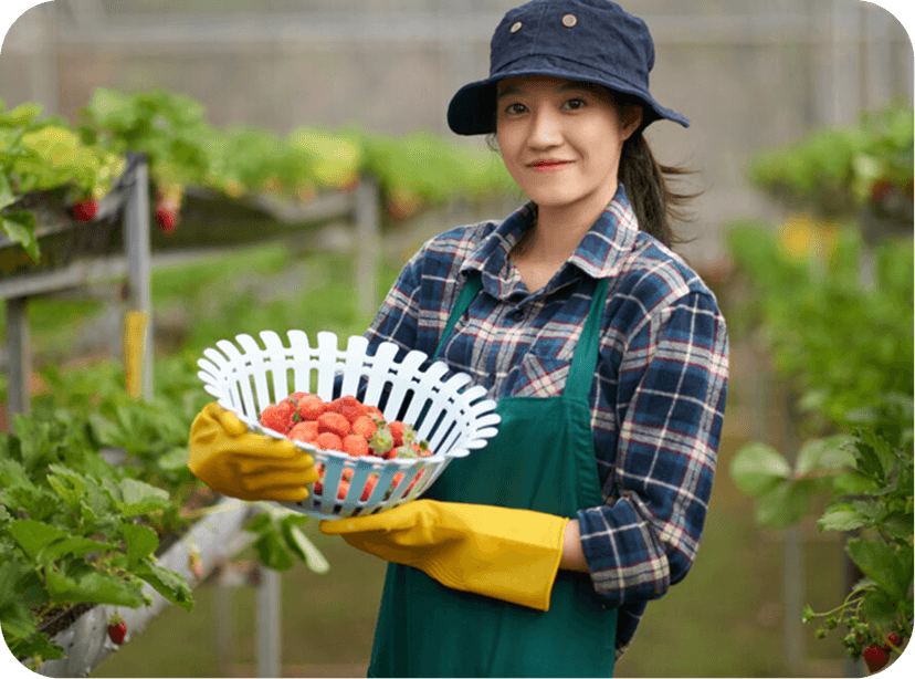 How to Include Organic Vegetables in Your Diet