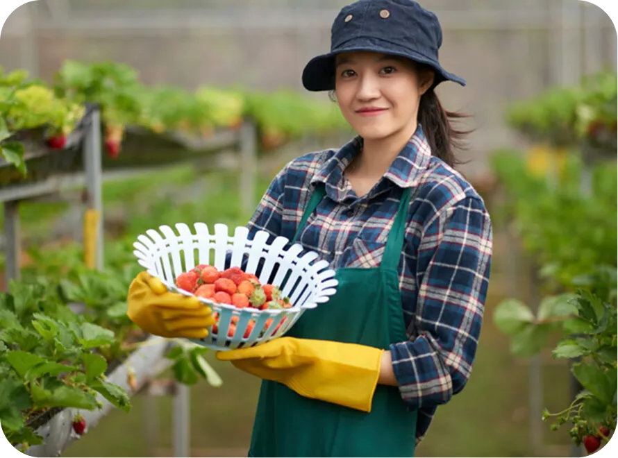 How to Include Organic Vegetables in Your Diet