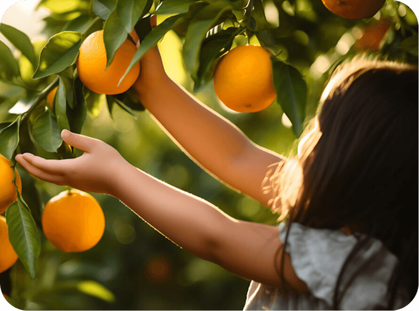 A Beginner’s Guide for Managing a Successful Farm