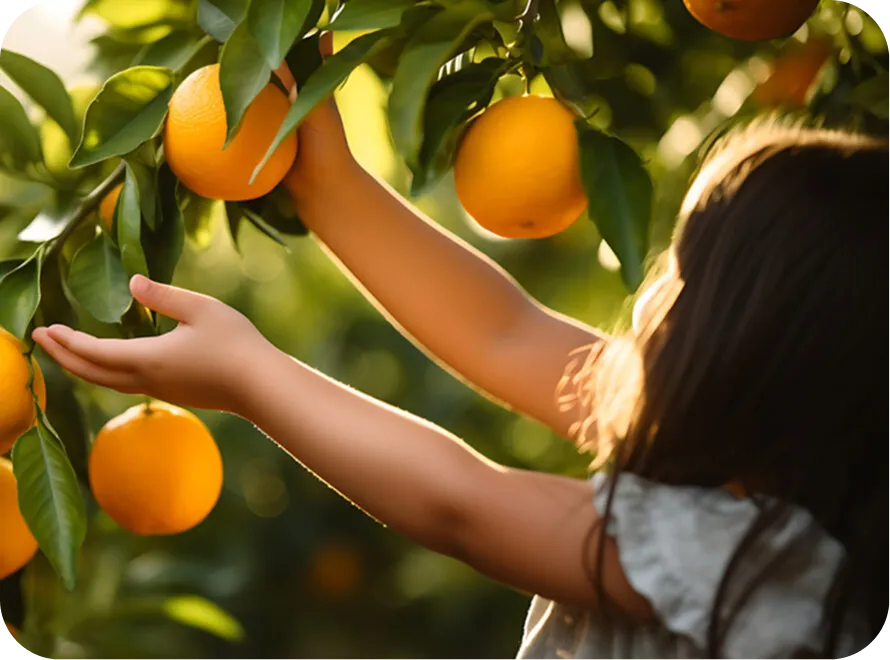 A Beginner’s Guide for Managing a Successful Farm