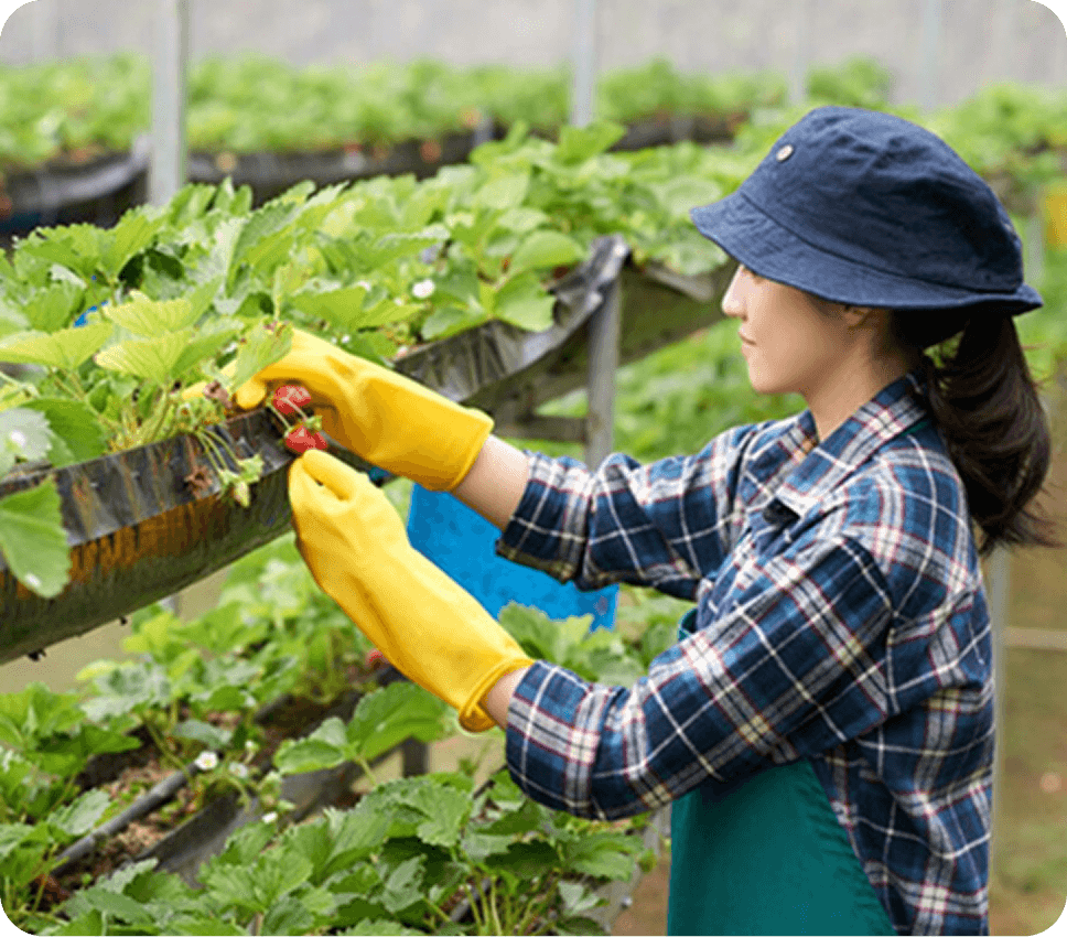 Farm Image 2