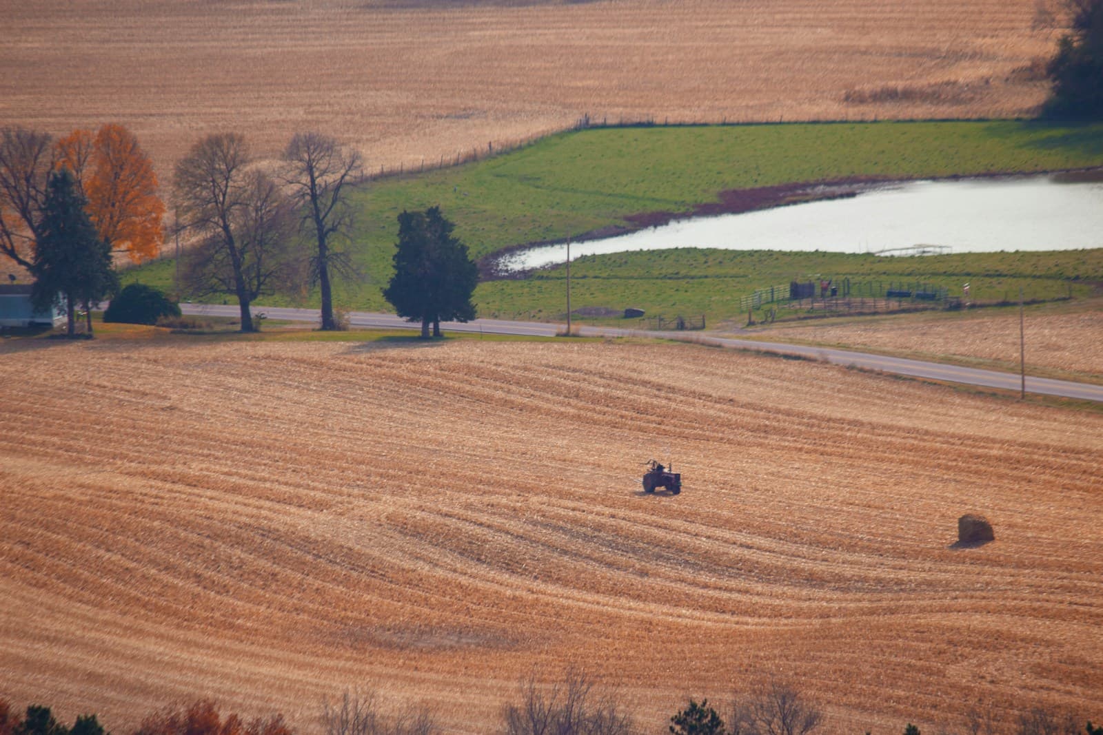 Common Crop Nutrition Mistakes Farmers Should Avoid