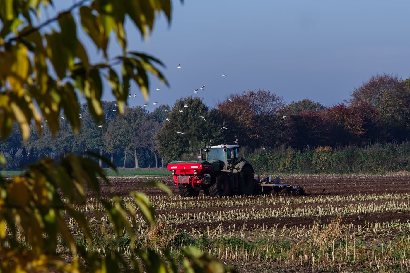Common Crop Nutrition Mistakes Farmers Should Avoid visual 2