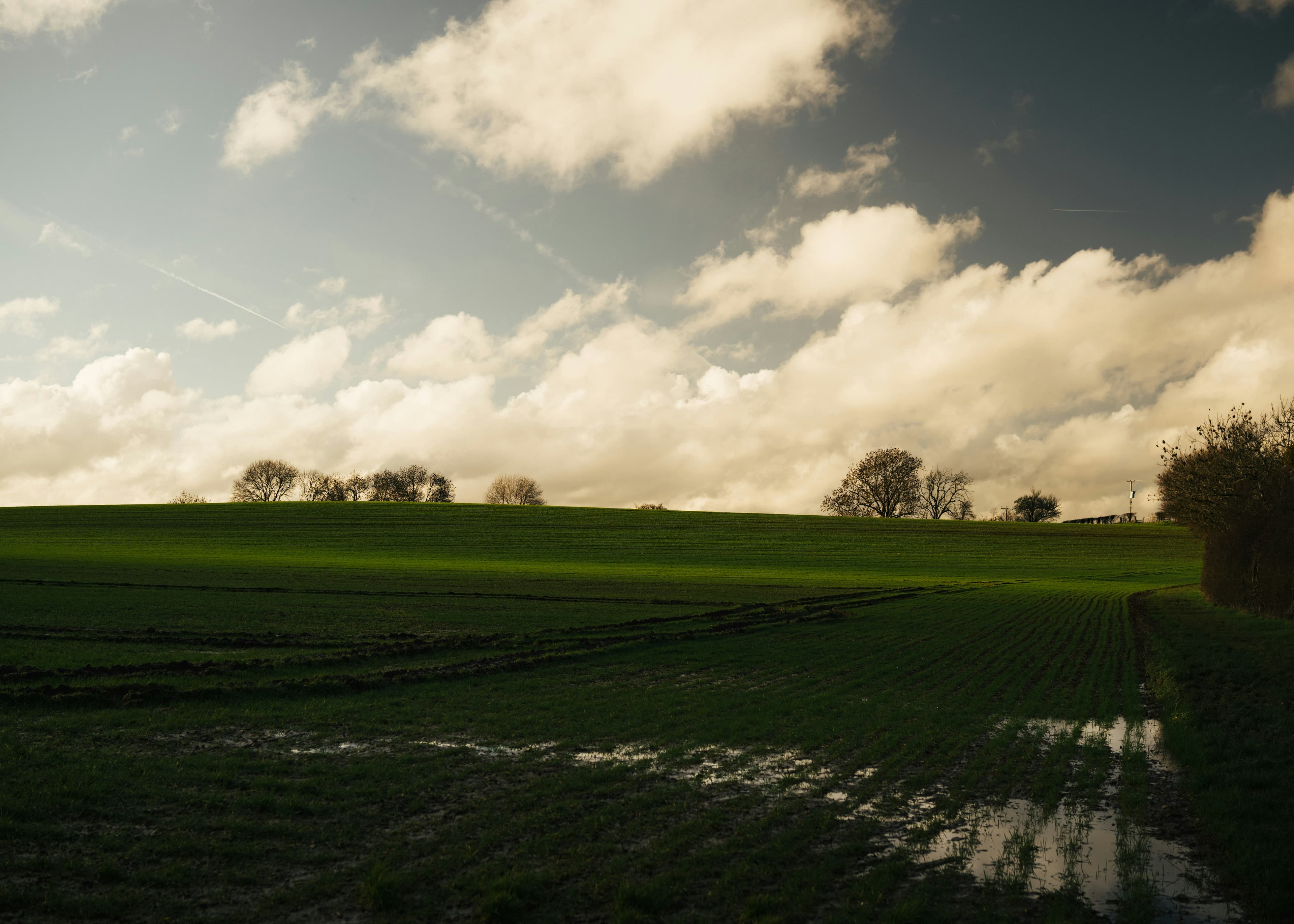 How Environmental Conditions Affect Crop Growth