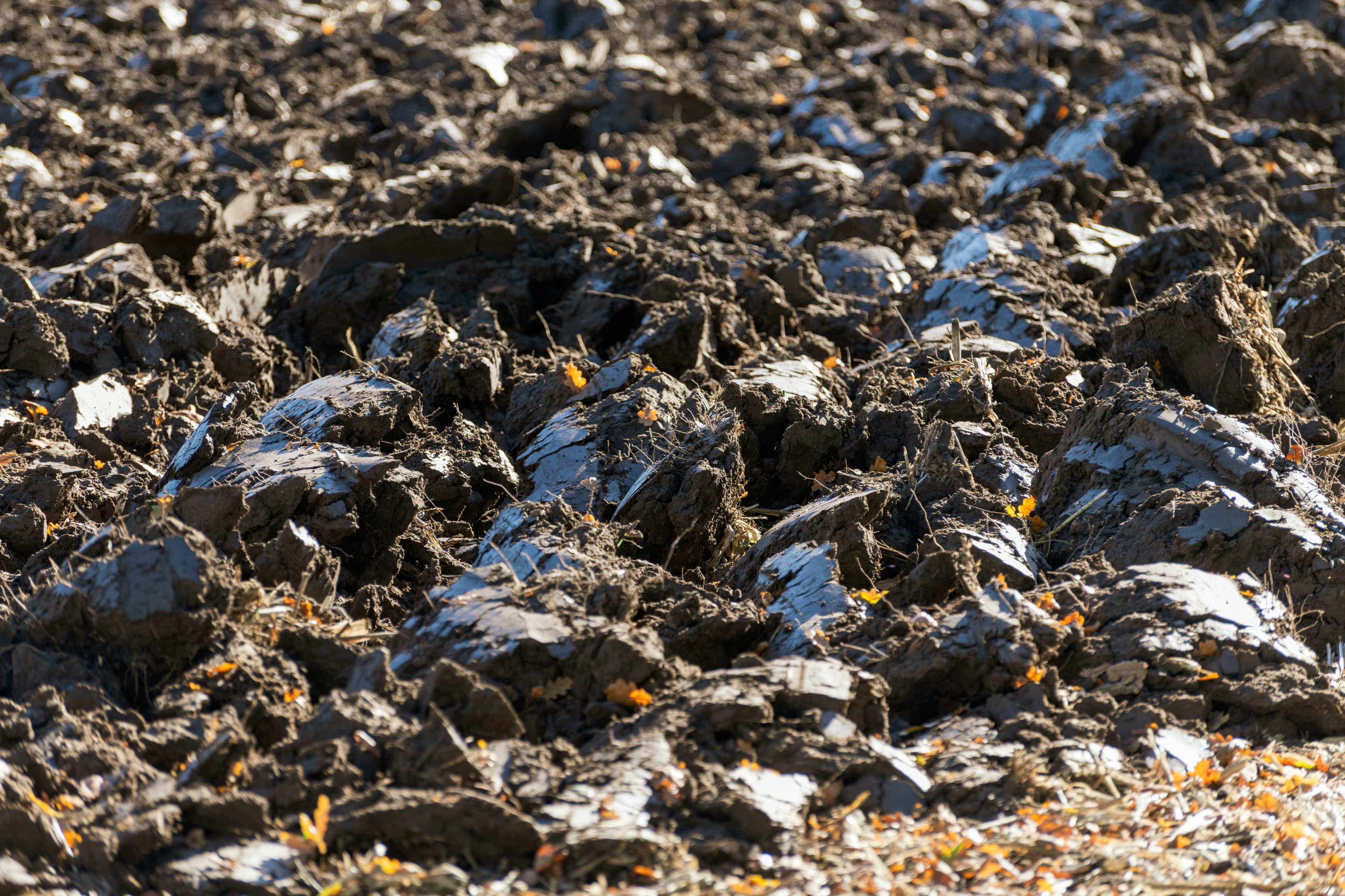 How Environmental Conditions Affect Crop Growth visual 1