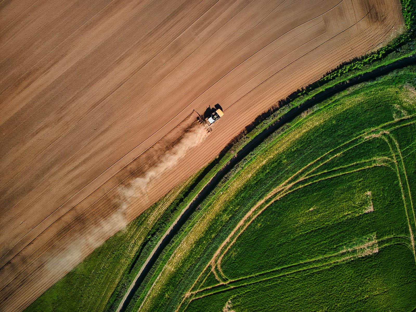 Foliar vs Soil Application: Which Method Works Best?