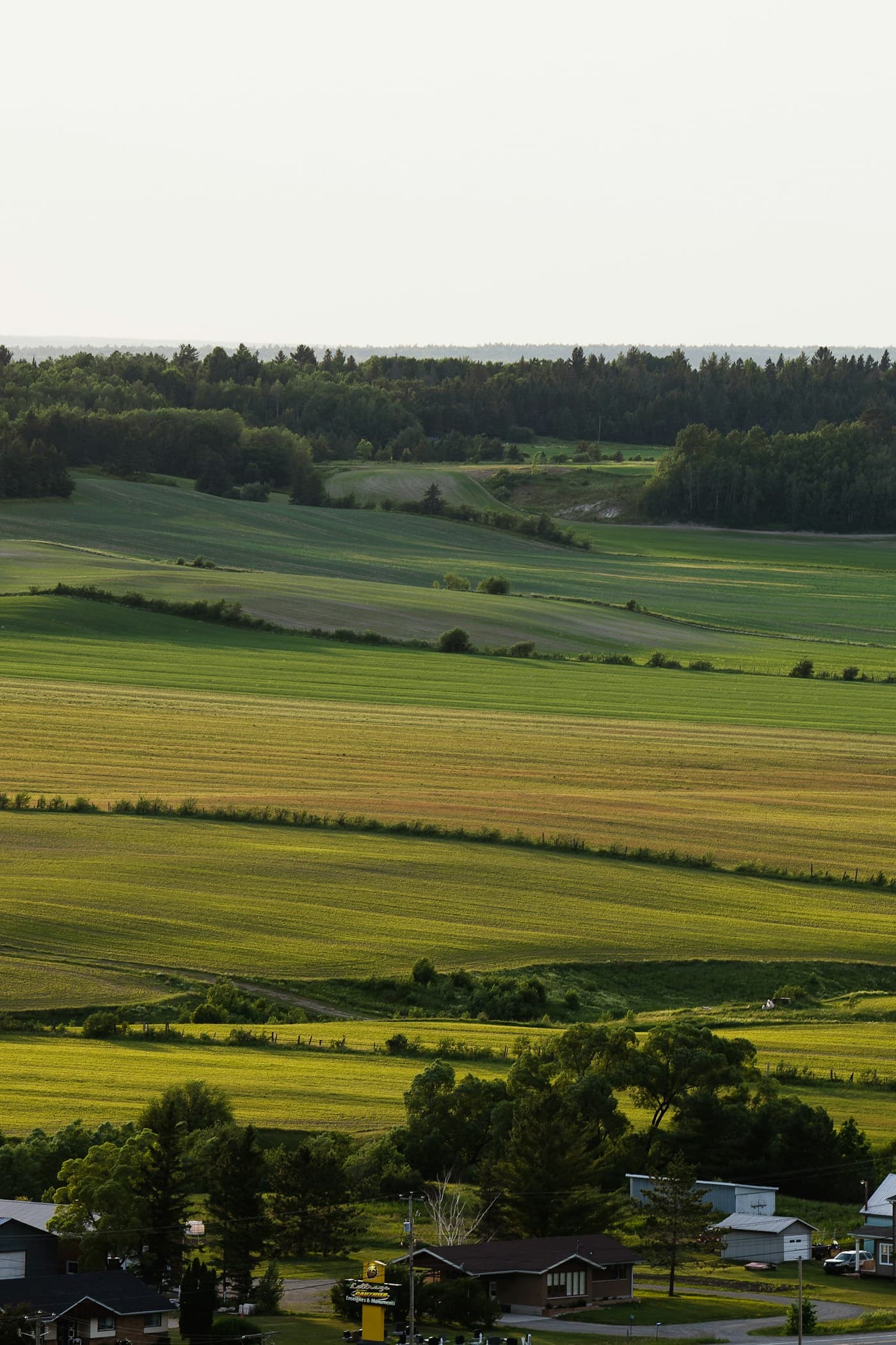 Foliar vs Soil Application: Which Method Works Best? visual 2