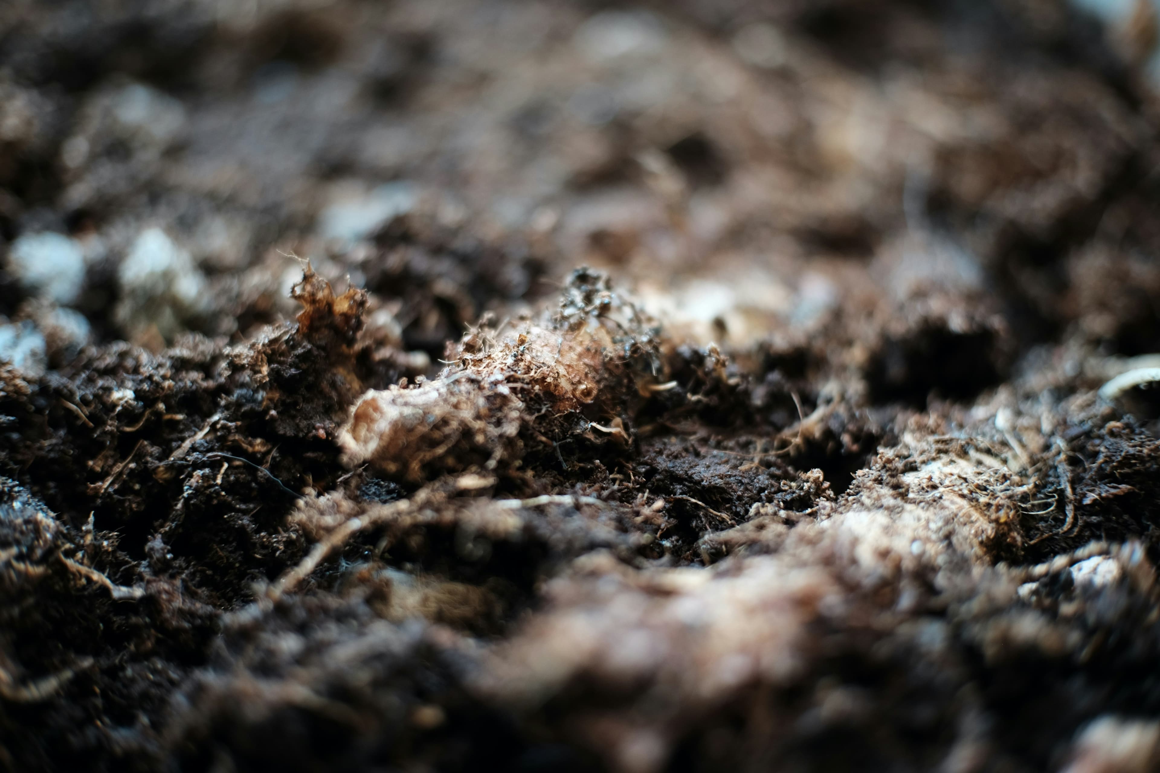 Practical Tips for Maintaining Healthy Crops Throughout the Growing Season visual 2