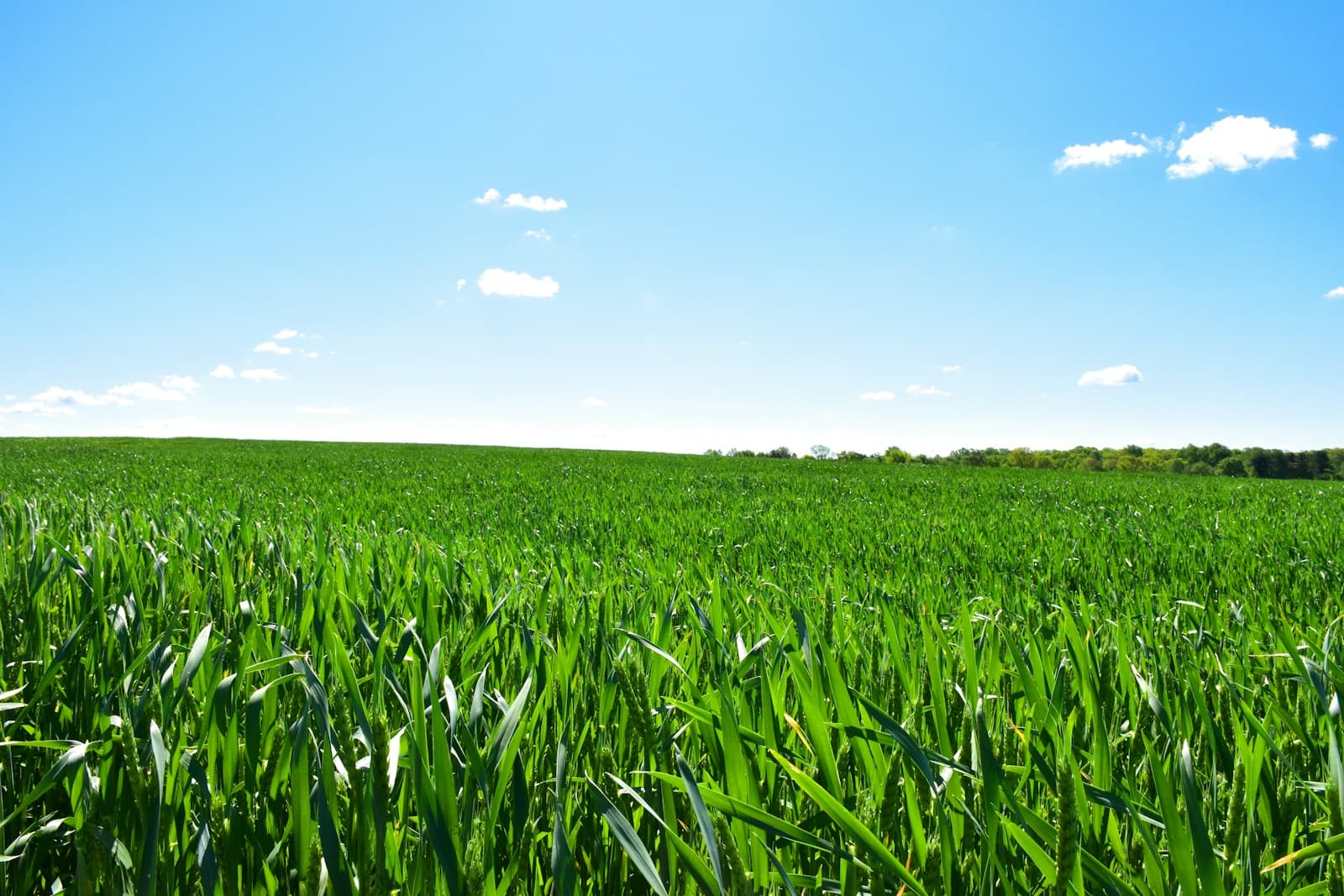 How to Launch Your Own Fertilizer Brand in 7 Days
