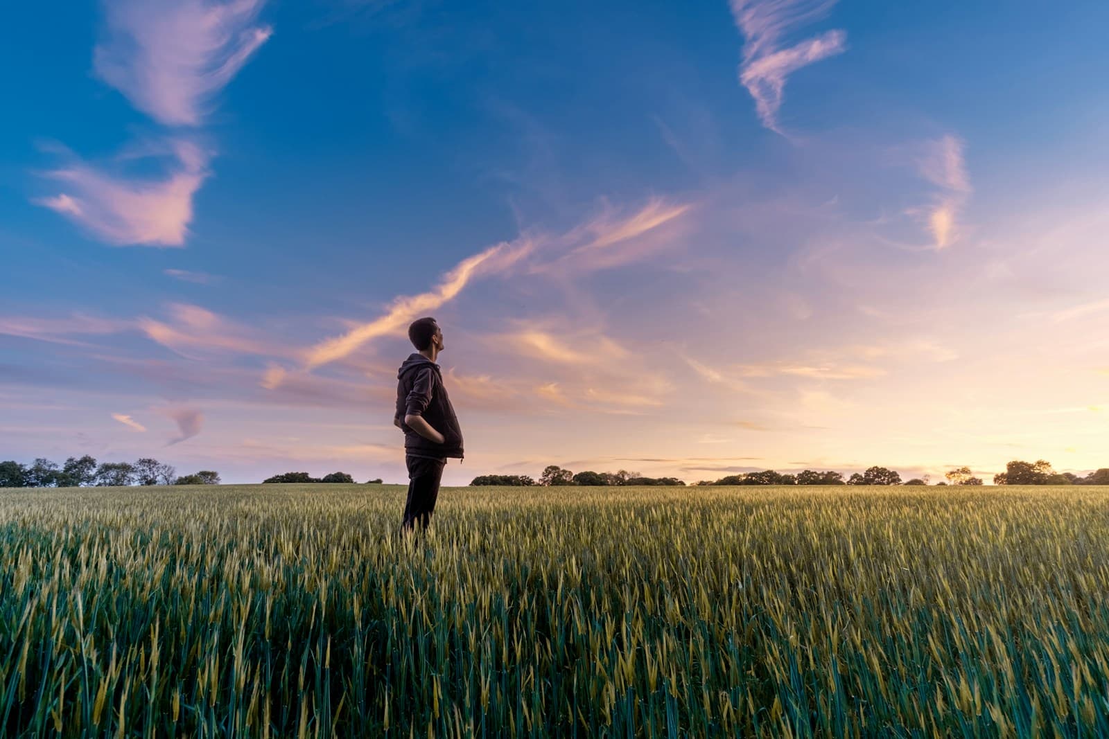 Why Soil Conditioning Matters for Long-Term Crop Productivity