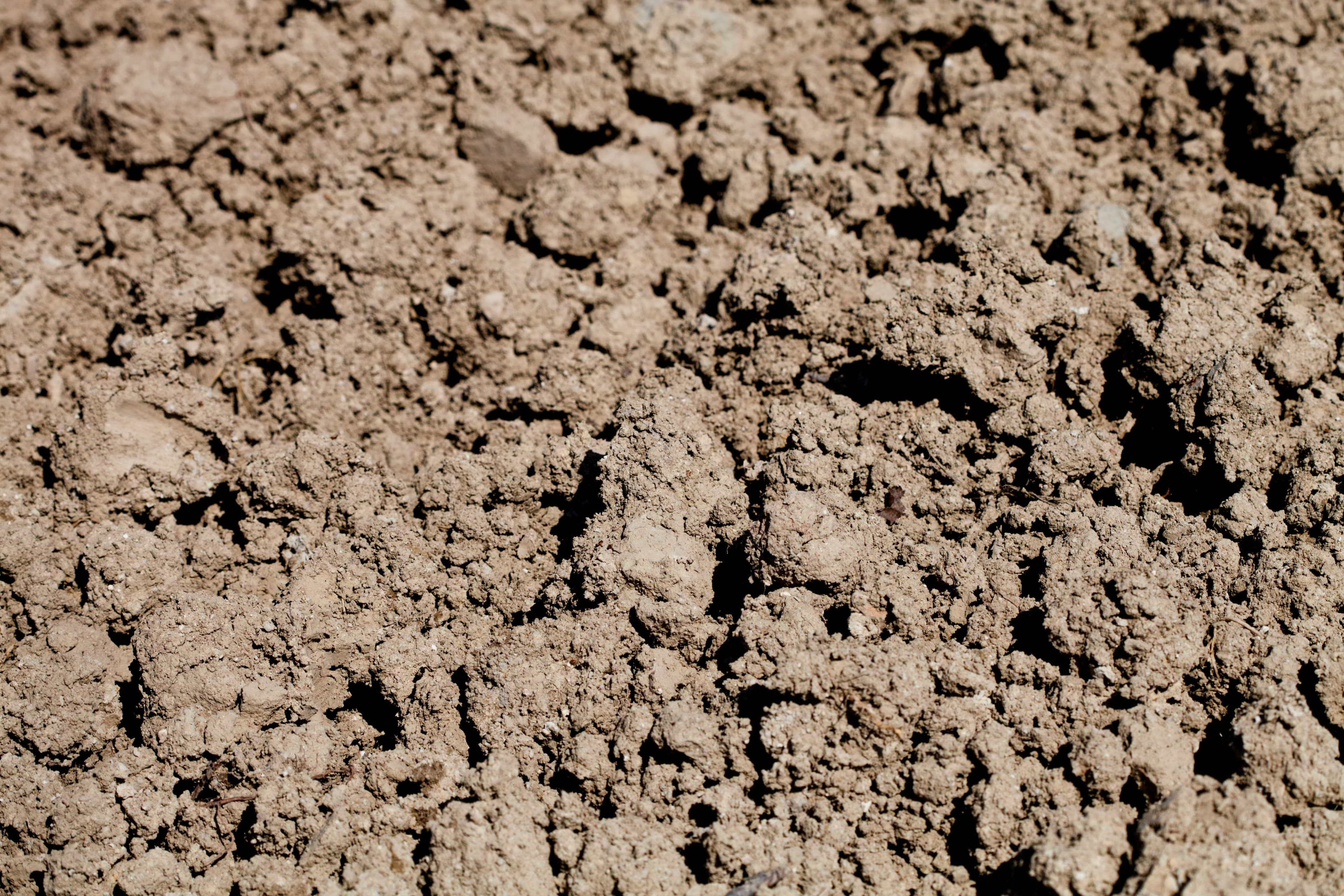 Understanding Soil Fertility and Nutrient Availability visual 2