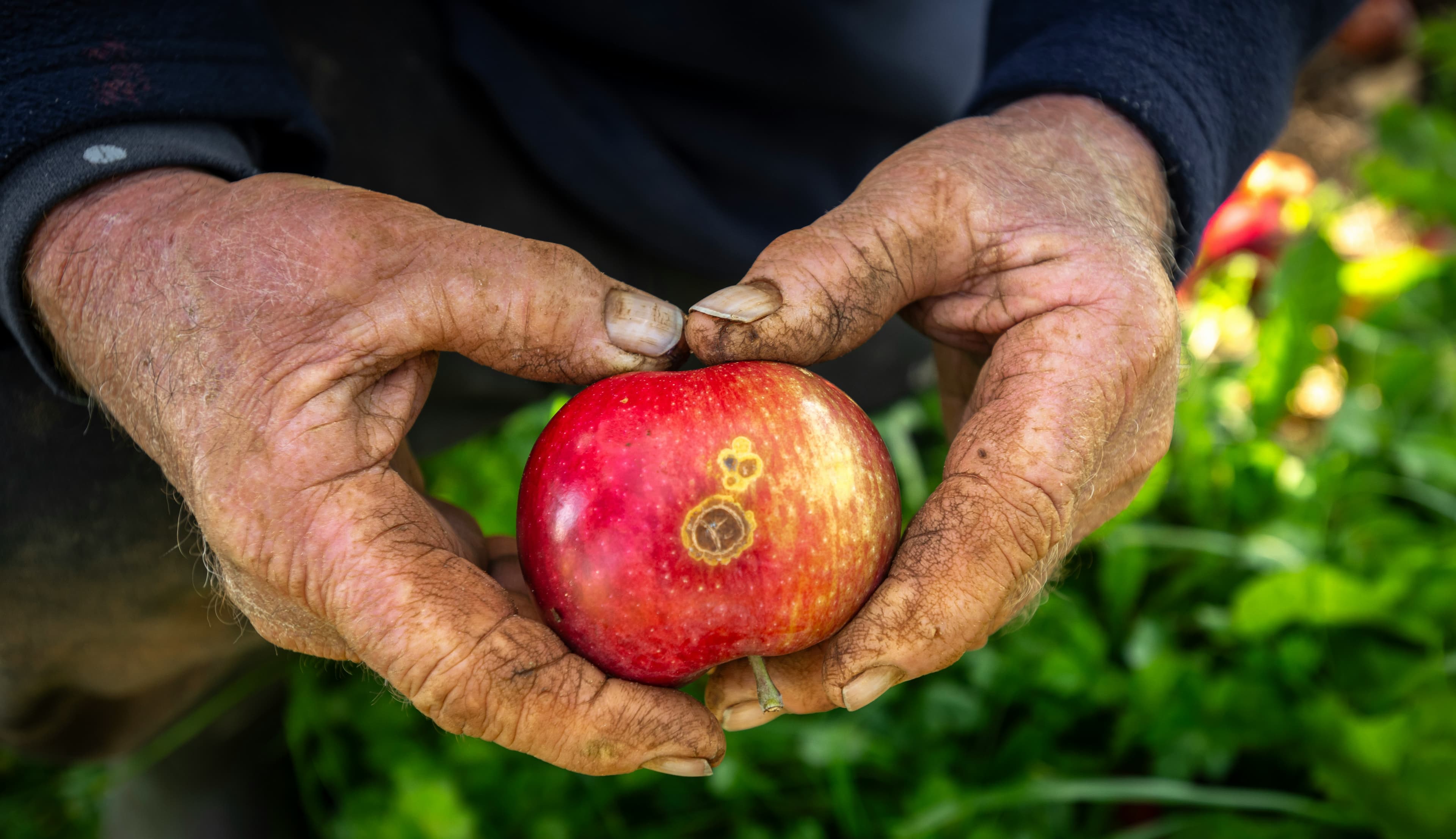 Sustainable Agriculture: Protecting Soil for Future Generations visual 1
