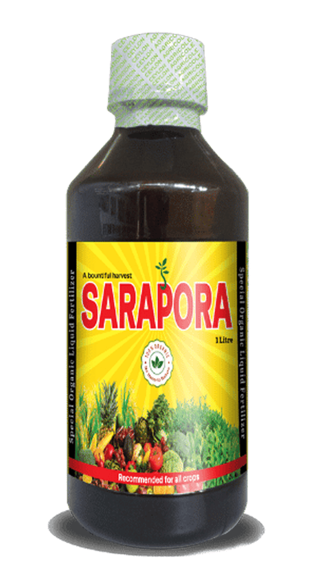 Saraphora