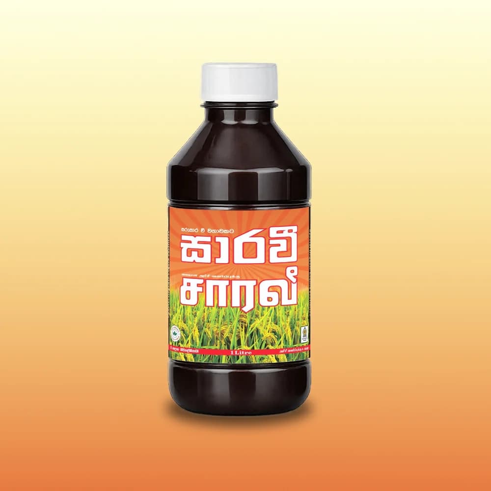 Saravi
