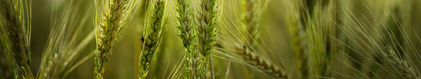 Traceability Background