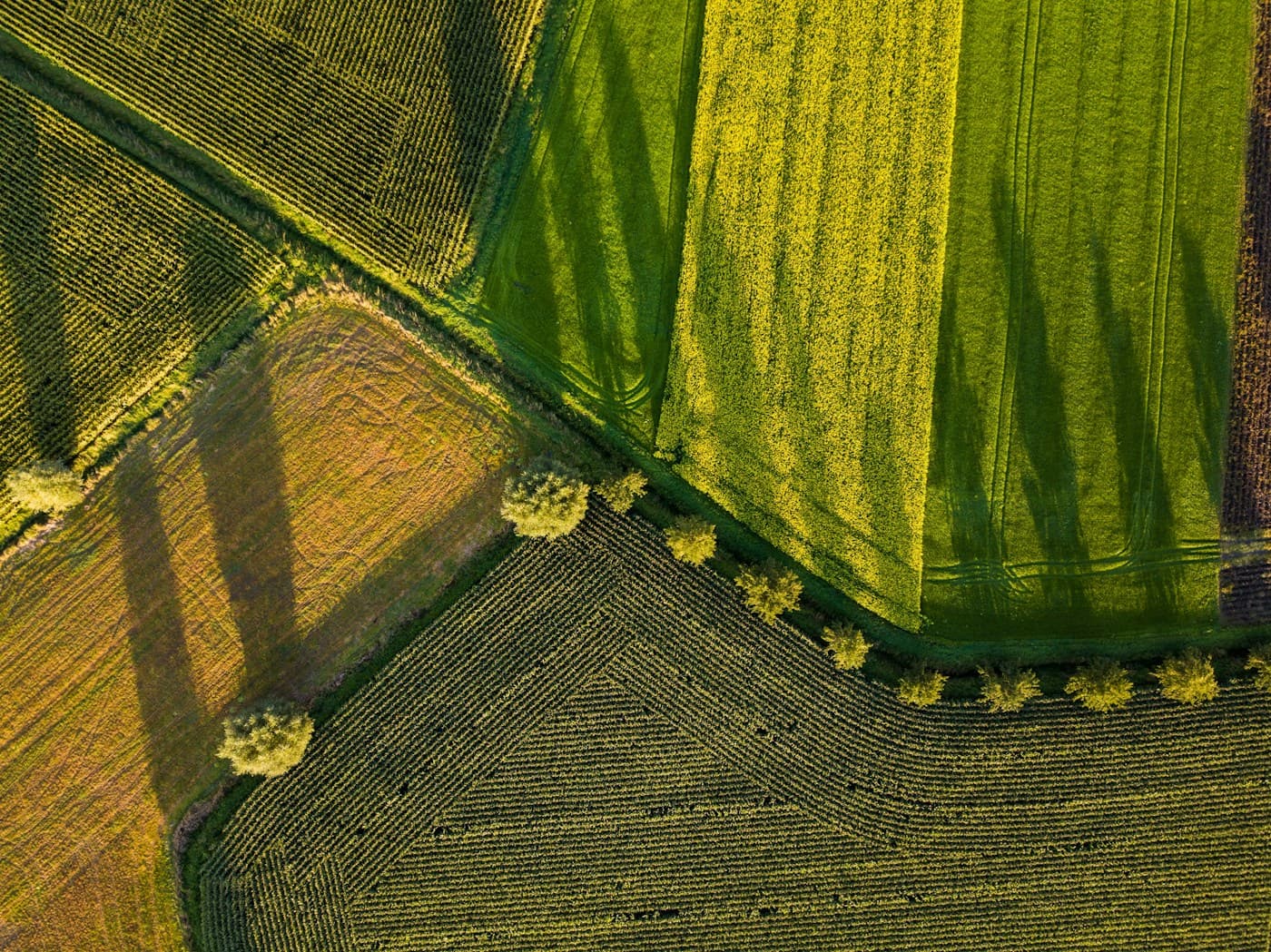 Understanding the Amazing Green Product Range: When to Use Each Product visual 1