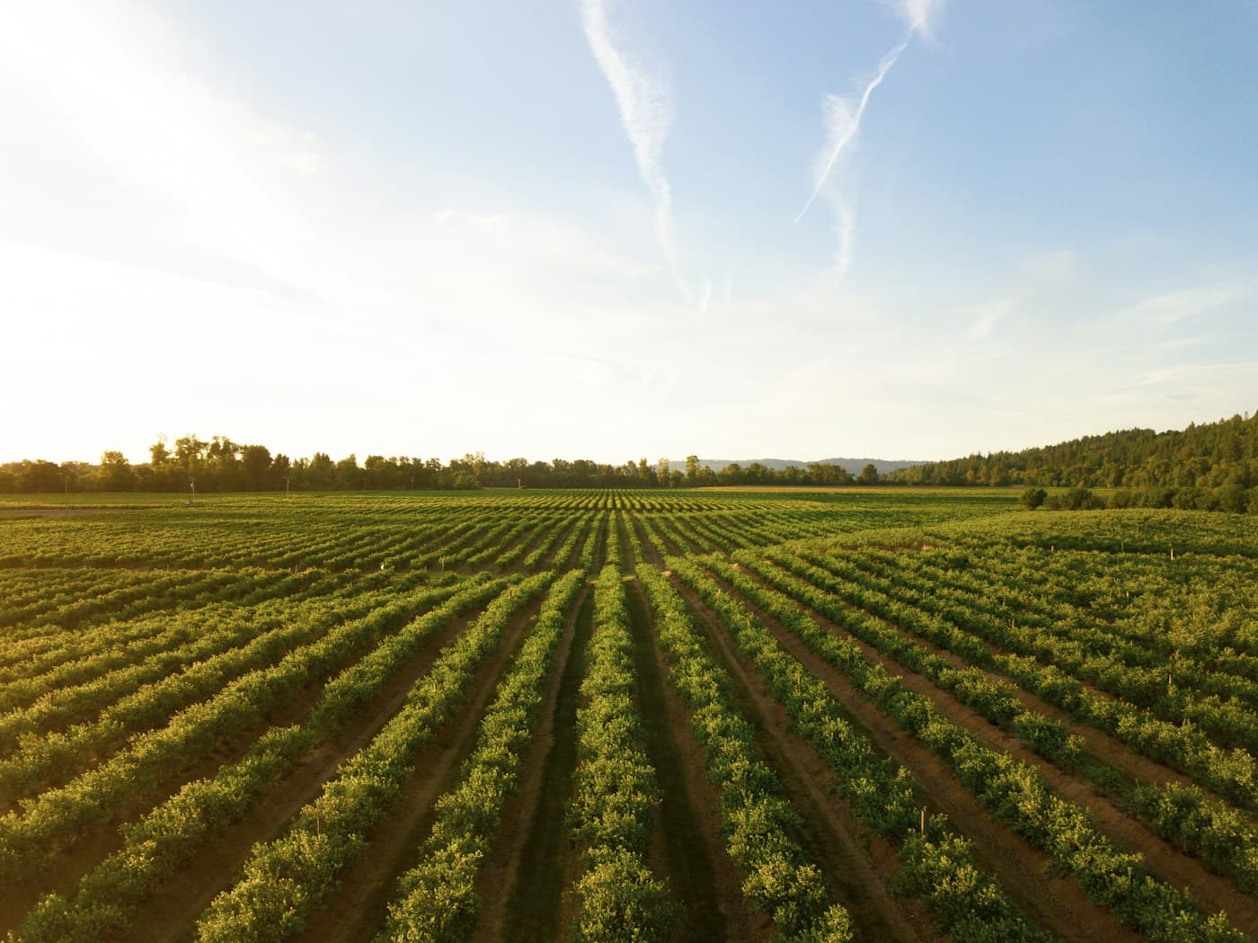 How to Launch Your Own Fertilizer Brand in 7 Days visual 1