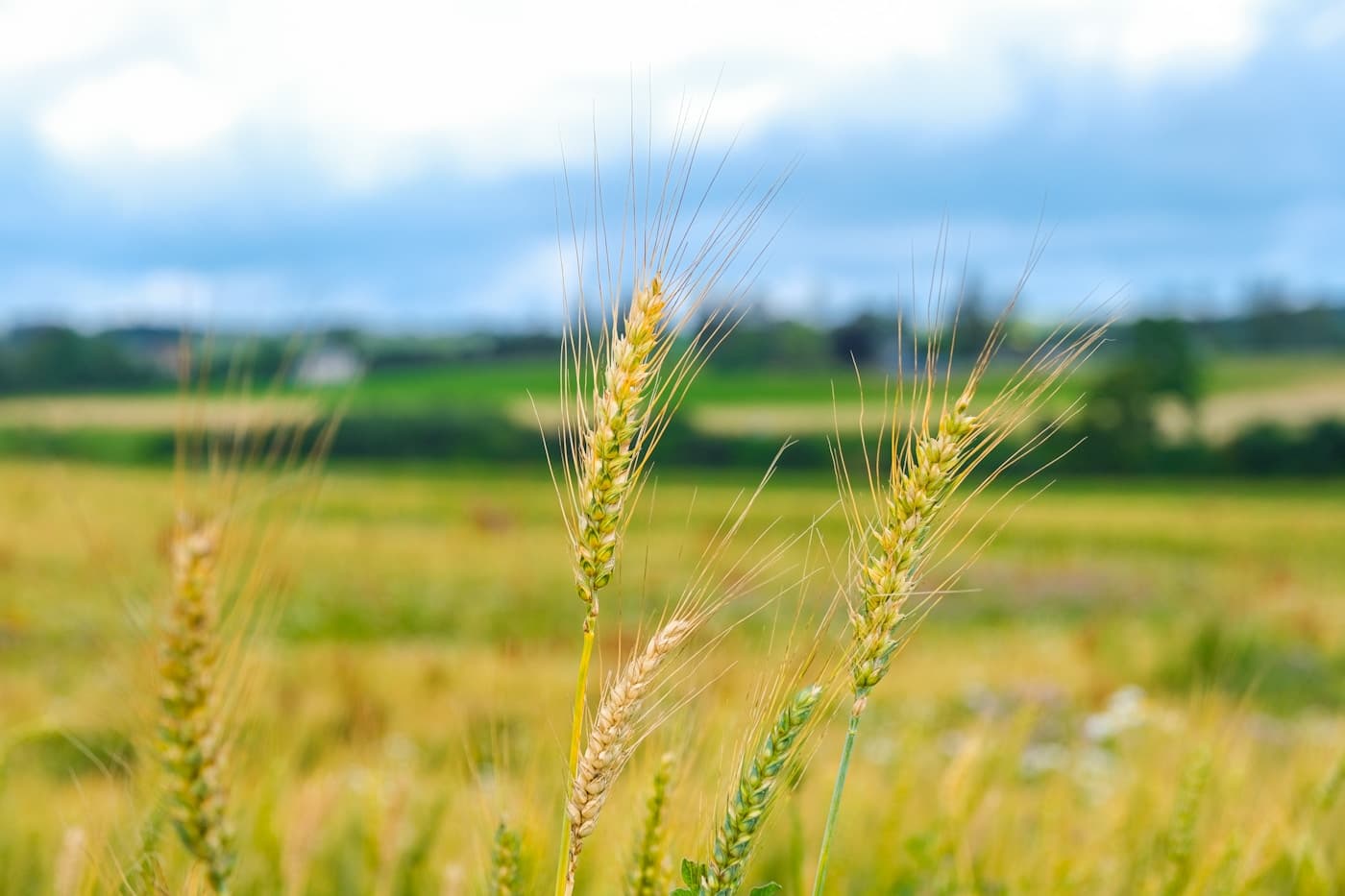 How to Launch Your Own Fertilizer Brand in 7 Days visual 2