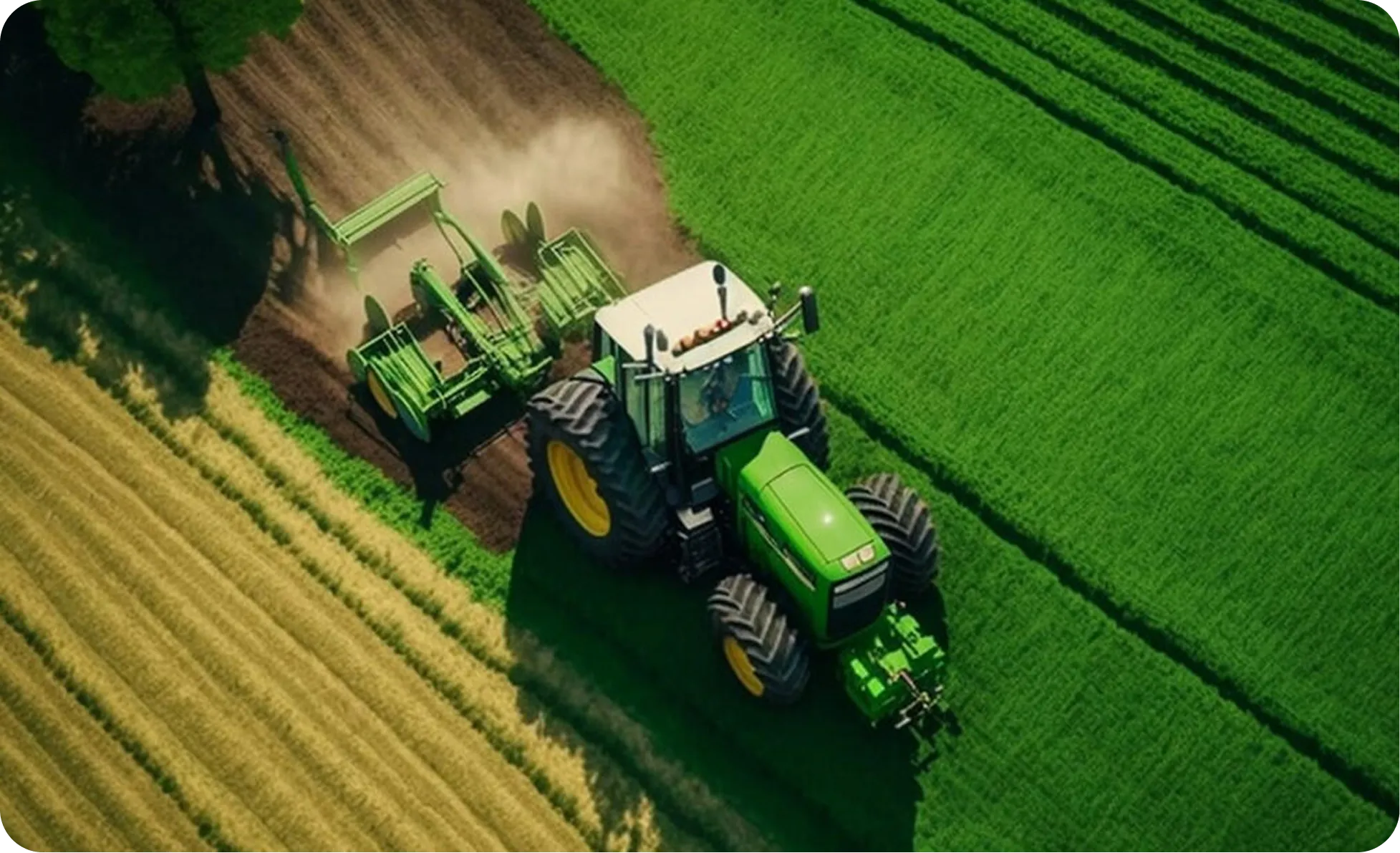 Agriculture