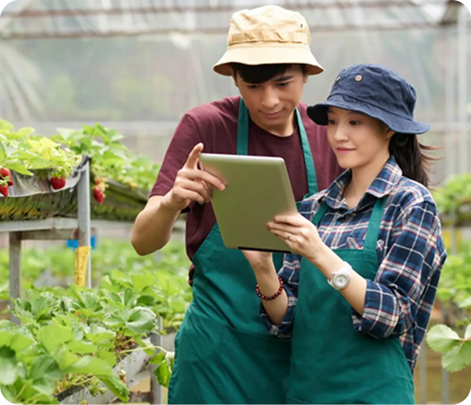 Farm Image 1