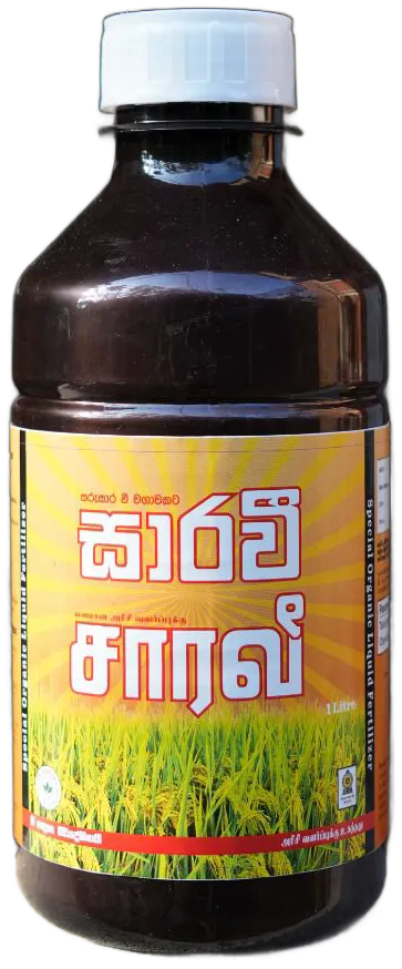 Saravi